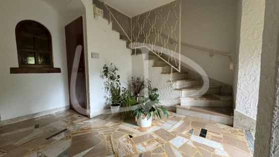 WhatsApp Image 2024-06-20 at 09.18.58 (2).jpeg